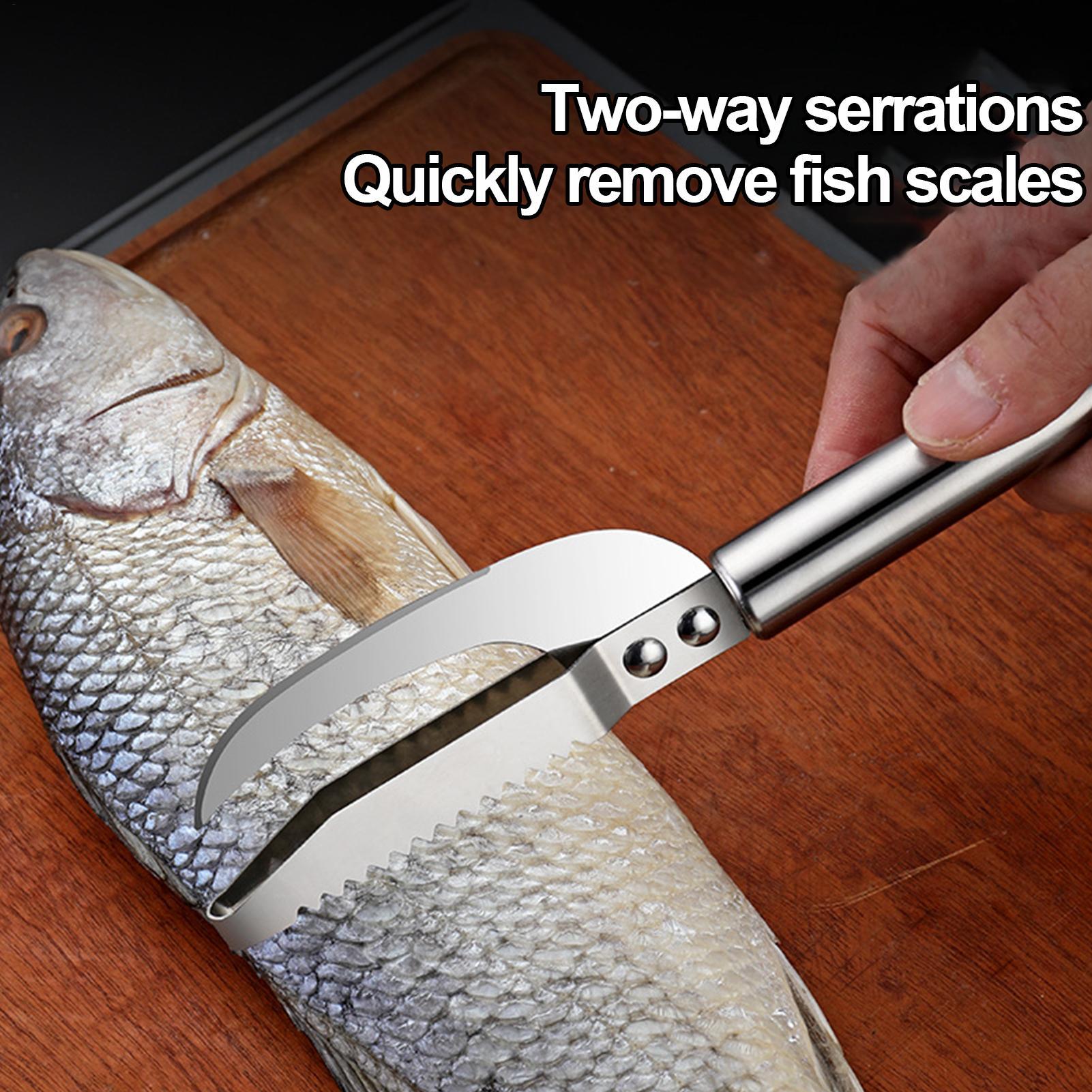 Fish Scale Remover Knife Picki - Commercial Kitchen Cleaning ulasan dan harga