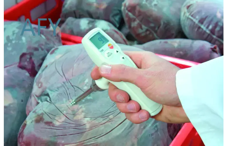 testo 105 for food thermometer - Commercial Kitchen Inspection ulasan dan harga